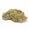 NYC Diesel